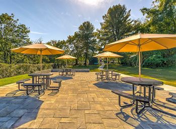 Patio umbrellas